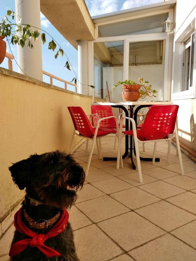 Appartement El Trastero à Santa Marta de Tormes Extérieur photo